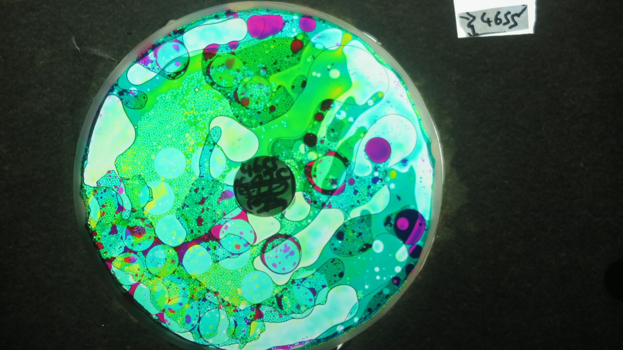 BV4655 bubble vision oil wheel